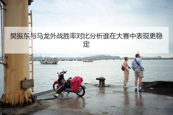 樊振东与马龙外战胜率对比分析谁在大赛中表现更稳定