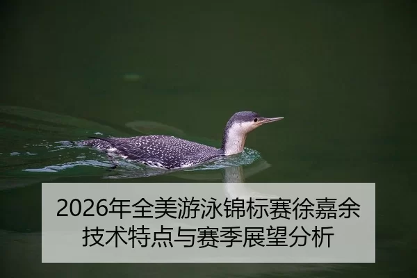 2026年全美游泳锦标赛徐嘉余技术特点与赛季展望分析