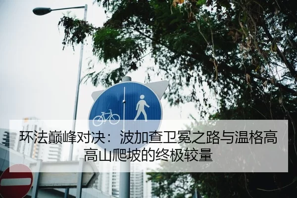 环法巅峰对决：波加查卫冕之路与温格高高山爬坡的终极较量