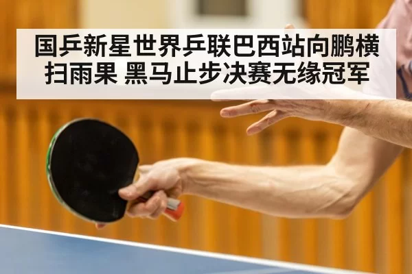 国乒新星世界乒联巴西站向鹏横扫雨果 黑马止步决赛无缘冠军