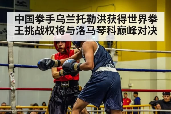 中国拳手乌兰托勒洪获得世界拳王挑战权将与洛马琴科巅峰对决